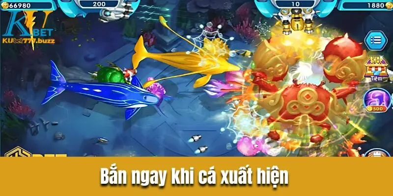 Bắn cá thiên đường Kubet777 - Bí quyết chơi thu bộn tiền Bắn ngay khi cá xuất hiện