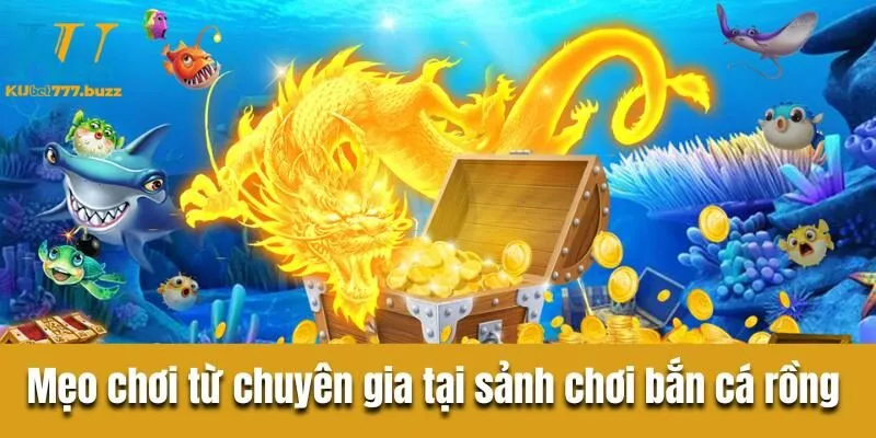 Bắn cá rồng - Hành trình săn kho báu trong lòng đại dương  Bật mí mẹo chơi từ chuyên gia trong sảnh chơi bắn cá