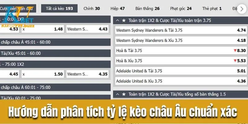 Hướng dẫn đọc kèo châu Âu chi tiết cho người mới bắt đầu  Hướng dẫn phân tích tỷ lệ kèo châu Âu chuẩn xác