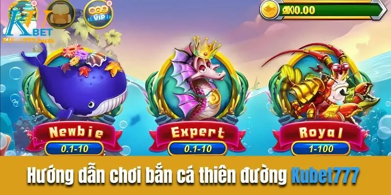 Bắn cá thiên đường Kubet777 - Bí quyết chơi thu bộn tiền Hướng dẫn trải nghiệm bắn cá thiên đường tại nhà cái
