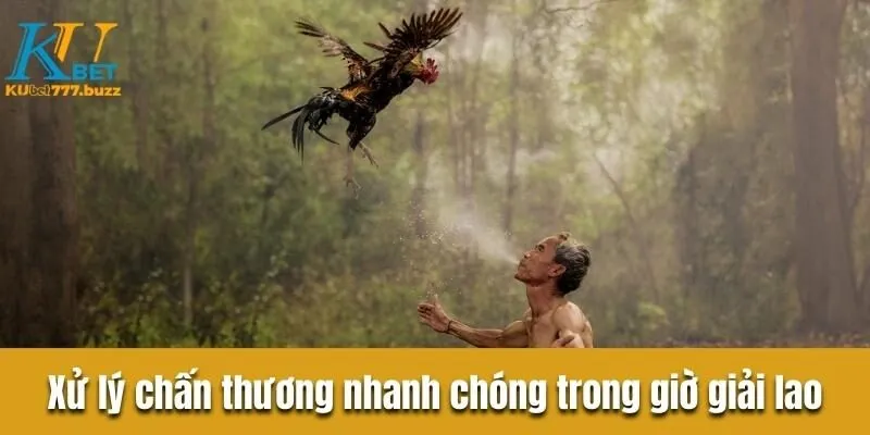 Tìm hiểu đá gà c1 là gì? Khám phá quy tắc sảnh chơi đá gà  Xử lý chấn thương nhanh chóng trong giờ giải lao